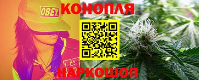 дмт Будённовск